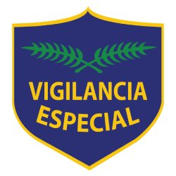 Vigilancia Especial - Seguridad Física
